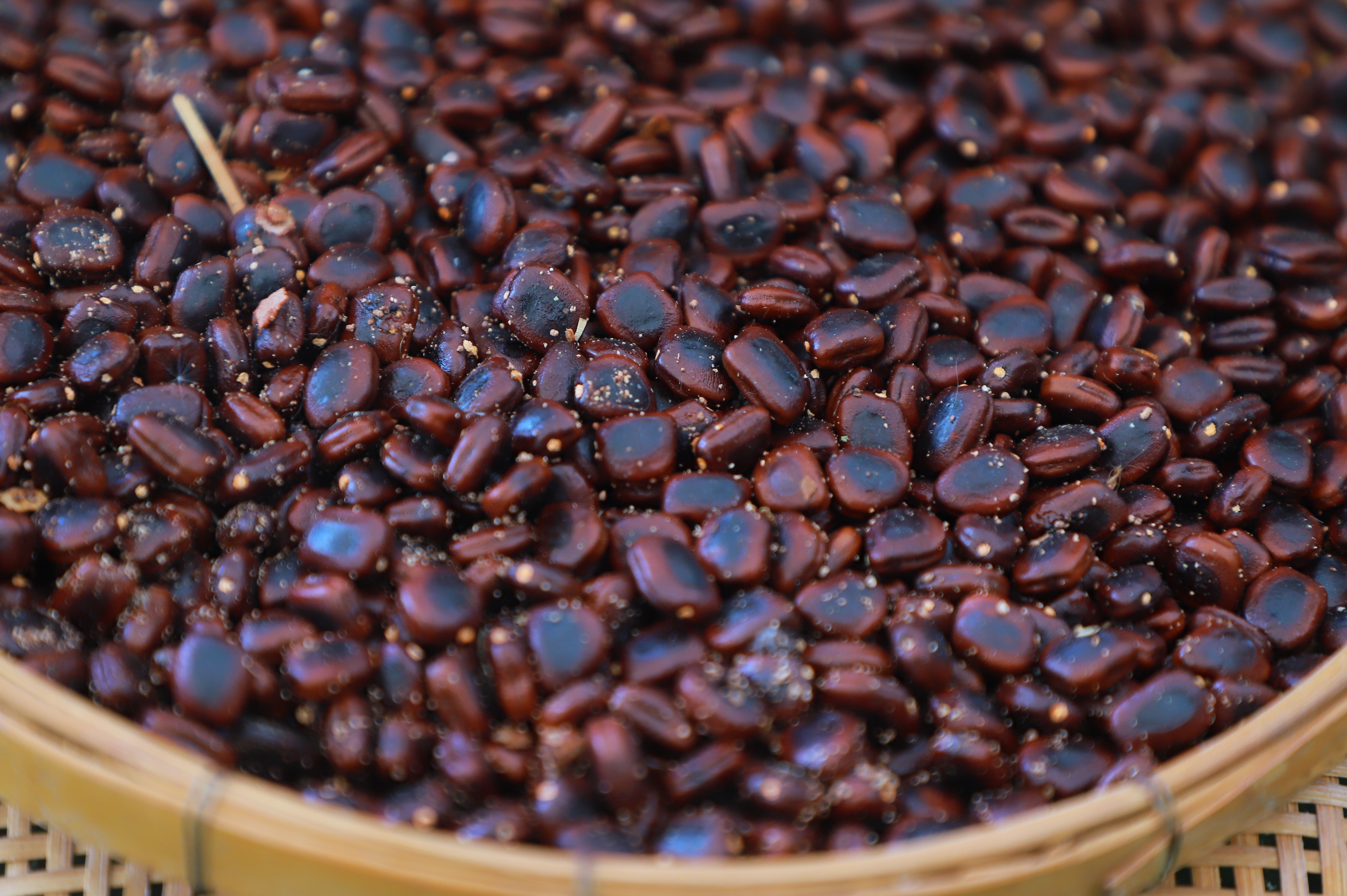 title - รองเลขาฯ ส.ป.ก. ร่วมงานมหกรรม “จากพันธุกรรม สู่ความยั่งยืน” รวมพลังอนุรักษ์ทรัพยากรไทย สร้างความมั่นคงทางอาหารอย่างยั่งยืน และการพึ่งพาตนเองในยามวิกฤต